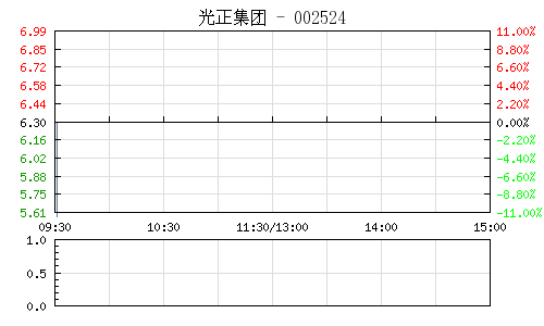 光正集团(002524)_股票
